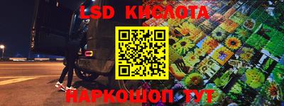 стаф Дмитров