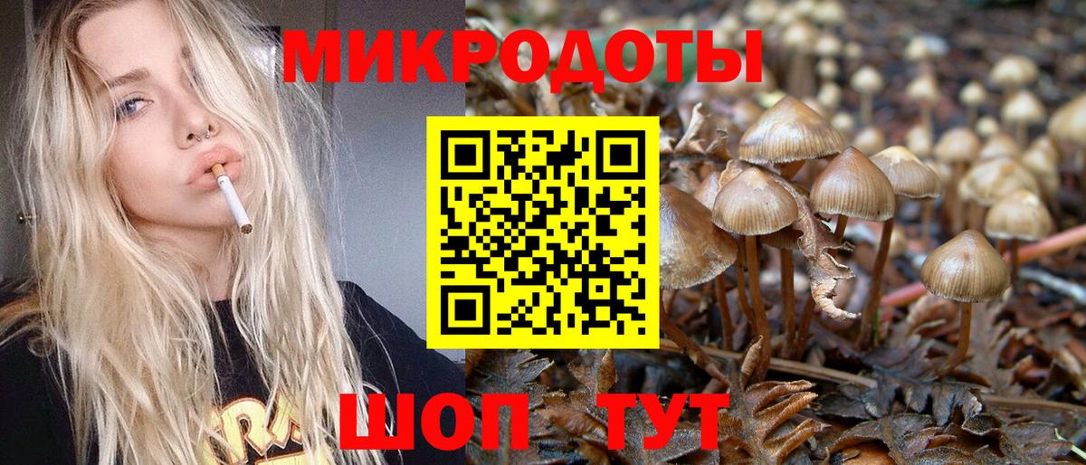 Псилоцибиновые грибы прущие грибы Волгодонск