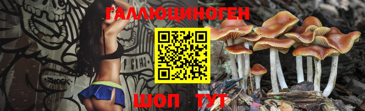 Псилоцибиновые грибы прущие грибы  Галлюциногенные грибы прущие грибы  Волгодонск  Вход с VPN 